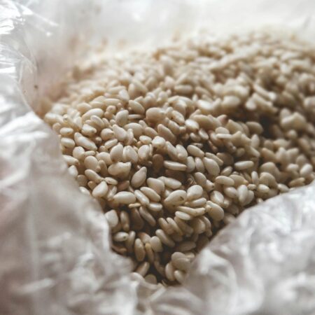 semillas de sesamo blanco 100g
